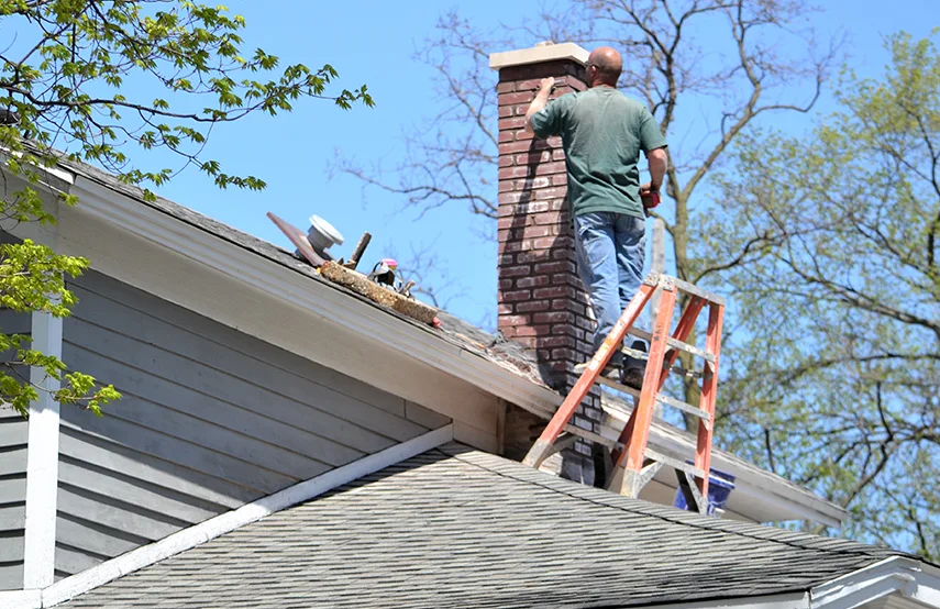 Chimney & Fireplace Inspections Services in Easton, PA